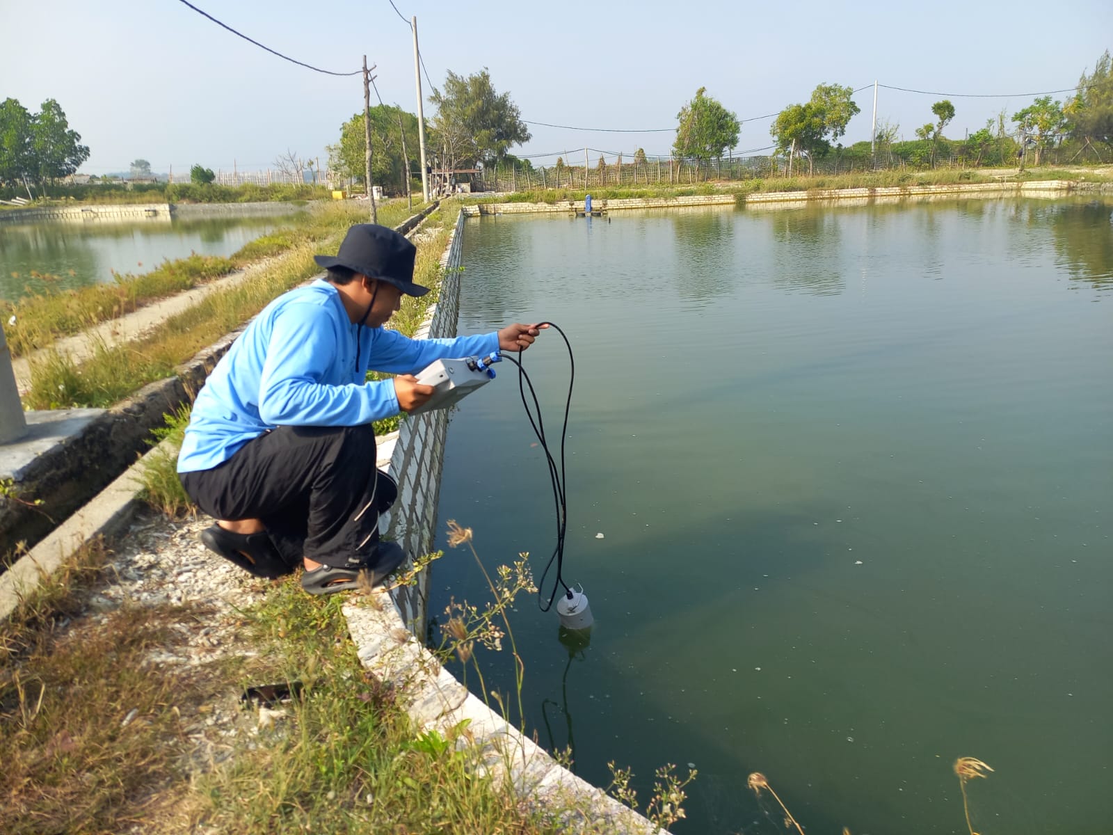 El Nino 2026 : Bagaimana Manajemen Tambak dalam Menghadapi Kemarau Panjang